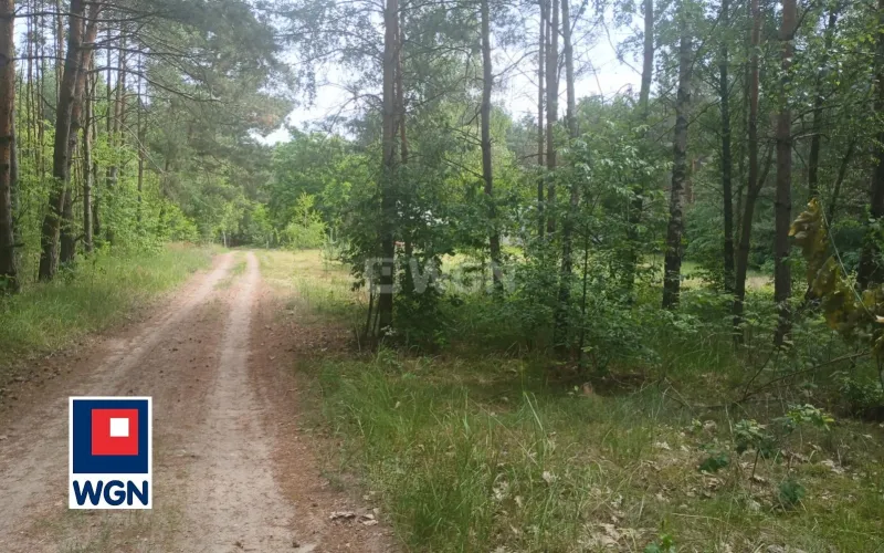 Grunt budowlany jednorodzinny na  sprzedaż Maciejewo - Działka budowlana w lesie- atrakcyjna cena.